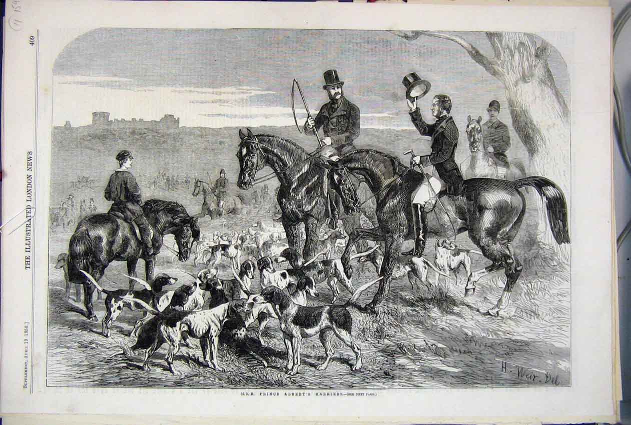 Original Old Antique Print 1856 Prince Albert Harriers Fox Hunting Horses Countr