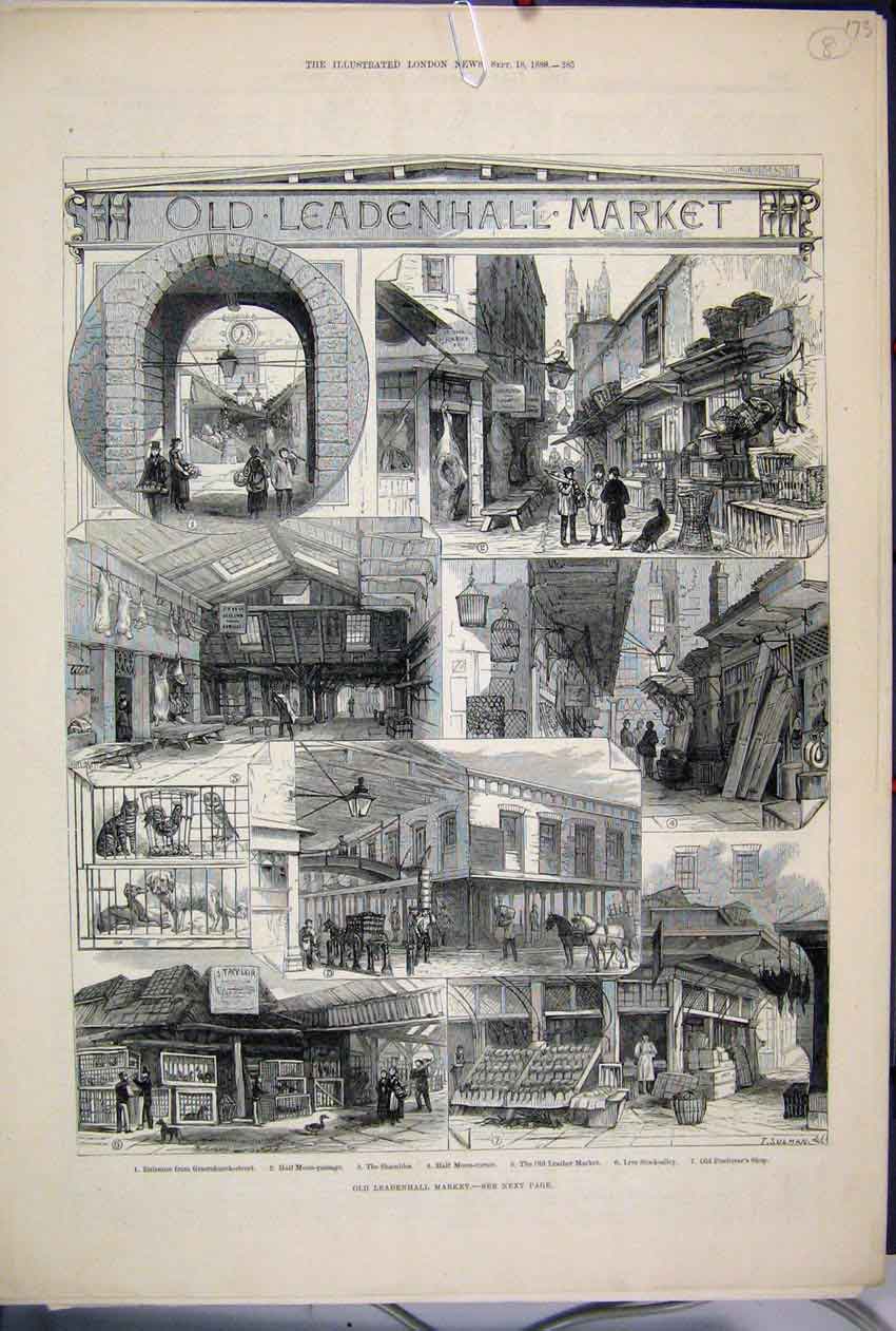 Original Old Antique Print 188O Leadenhall Market Poulterer Leather Stock 19th
