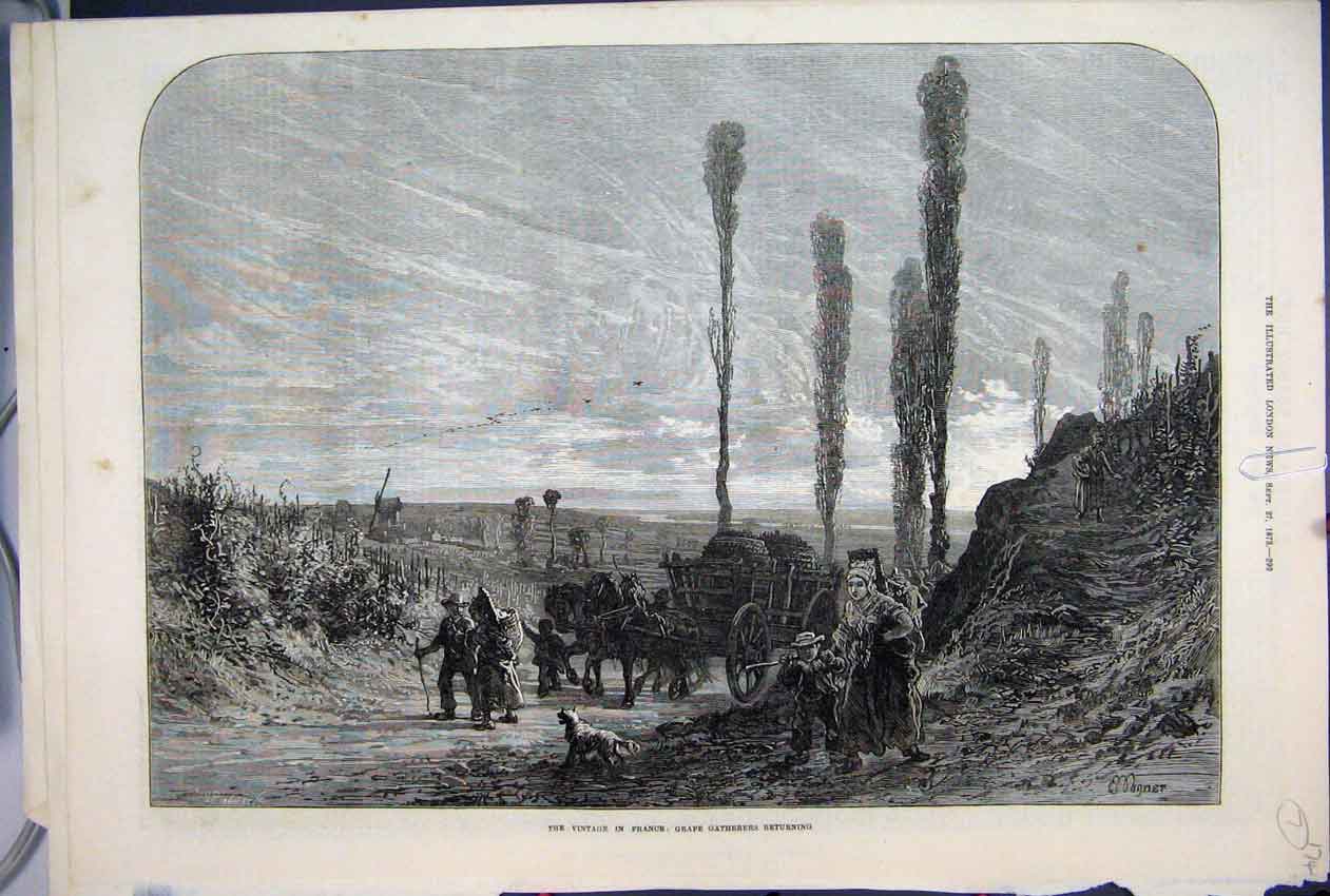 Original Old Antique Print 1873 France Grape Gathering Horse Art 19th