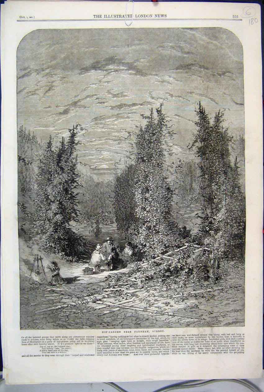 Original Old Antique Print 1861 Hop Garden Farnham Surrey Family Picnic 19th