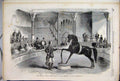 Original Old Antique Print 1858 American Horse Black Eagle Alhambra Palace 19th