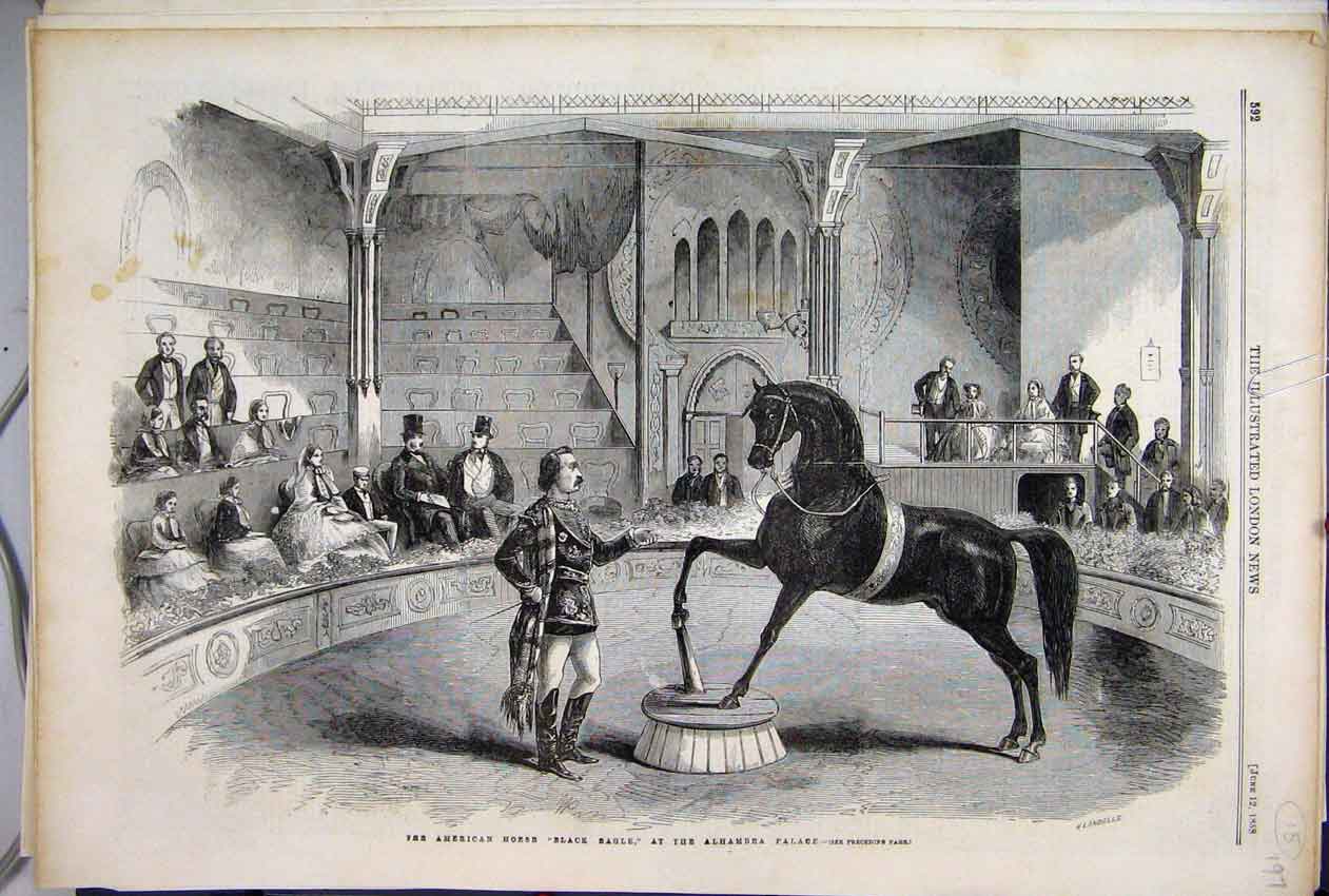 Original Old Antique Print 1858 American Horse Black Eagle Alhambra Palace 19th