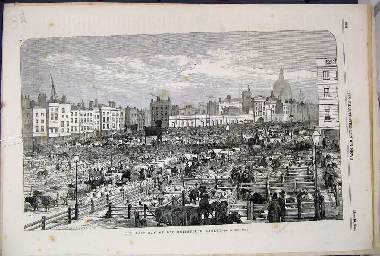 Original Old Antique Print 1855 Smithfield Market Pigs Sheep Cattle Farmer 19th