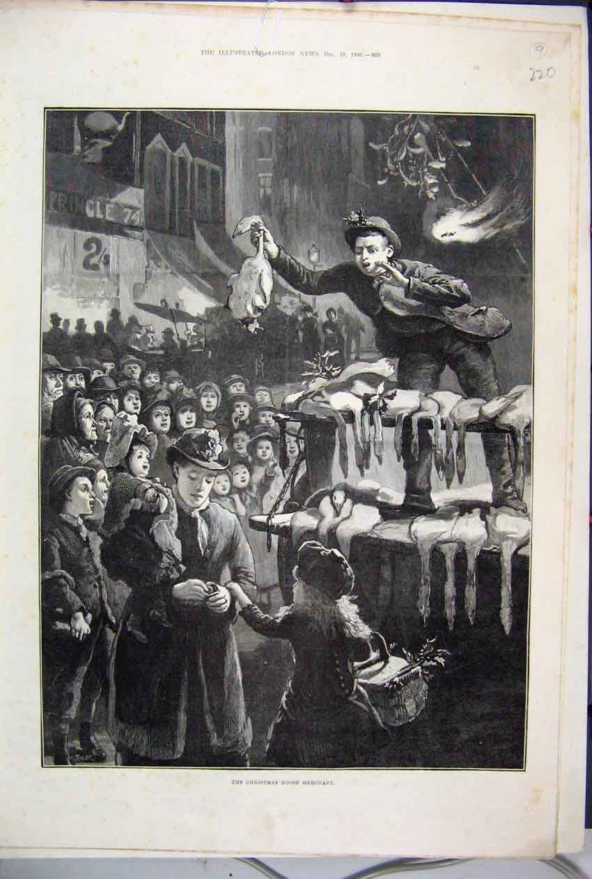 Original Old Antique Print 1886 Chiristmas Goose Merchant Sale Fine Art 19th