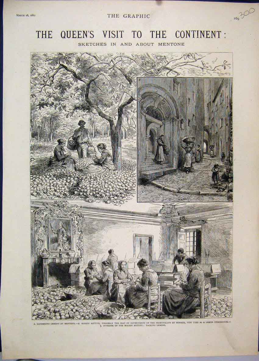 Original Old Antique Print 1882 Queen Mentone Lemons Maison Bottini Store House