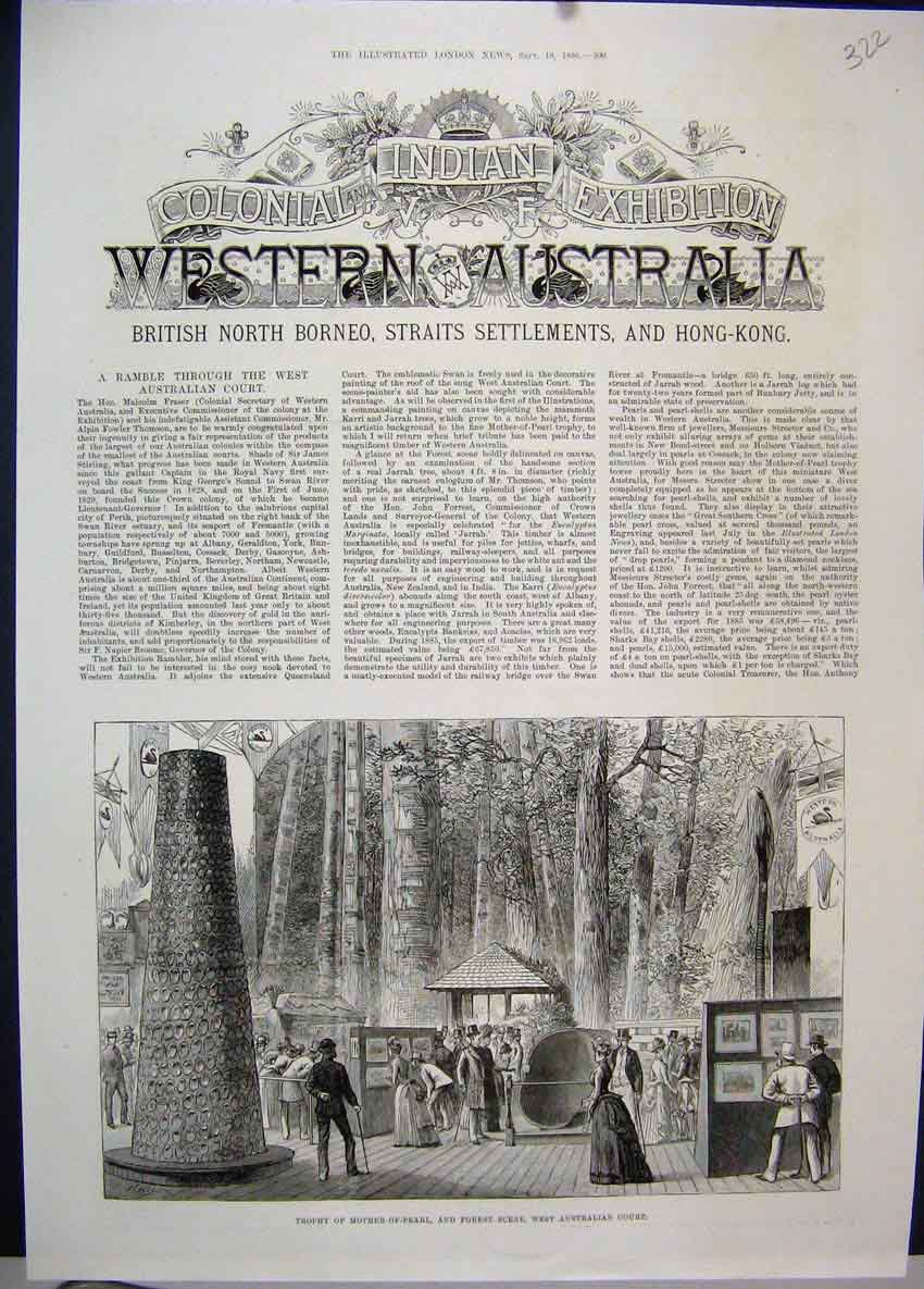 Old Antique Print 1886 Trophy Mother Pearl Forest Scene Australian Court 19th