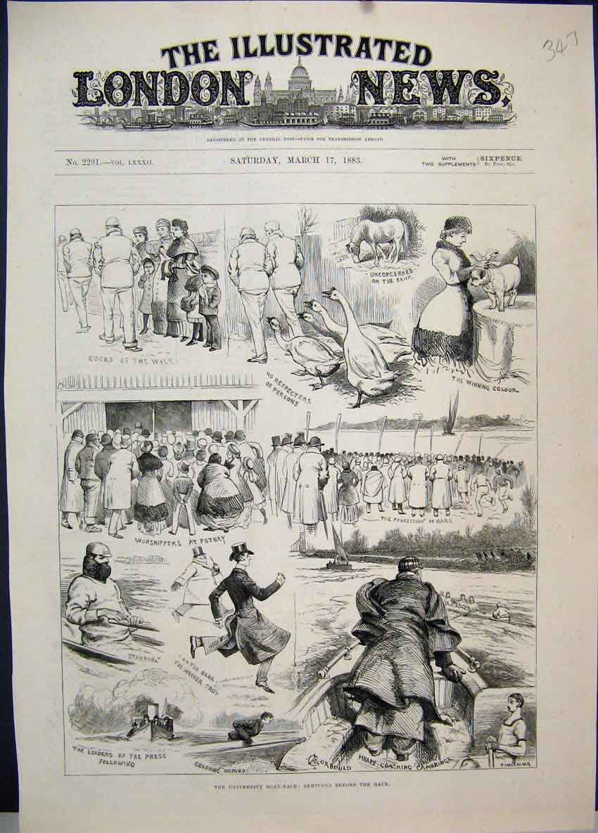 Original Old Antique Print 1883 University Boat Race Dogs Geese Procession Oars