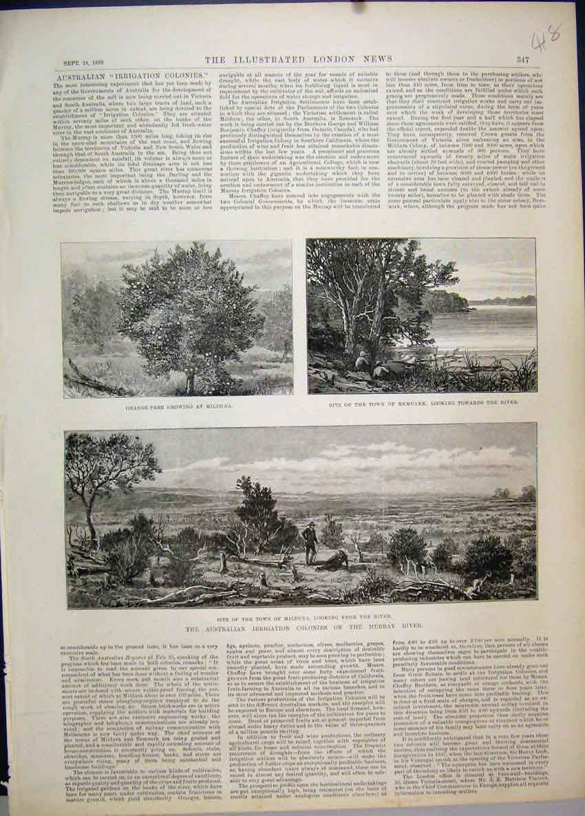 Original Old Antique Print 1889 Australain Irrigation Colonies Murray River