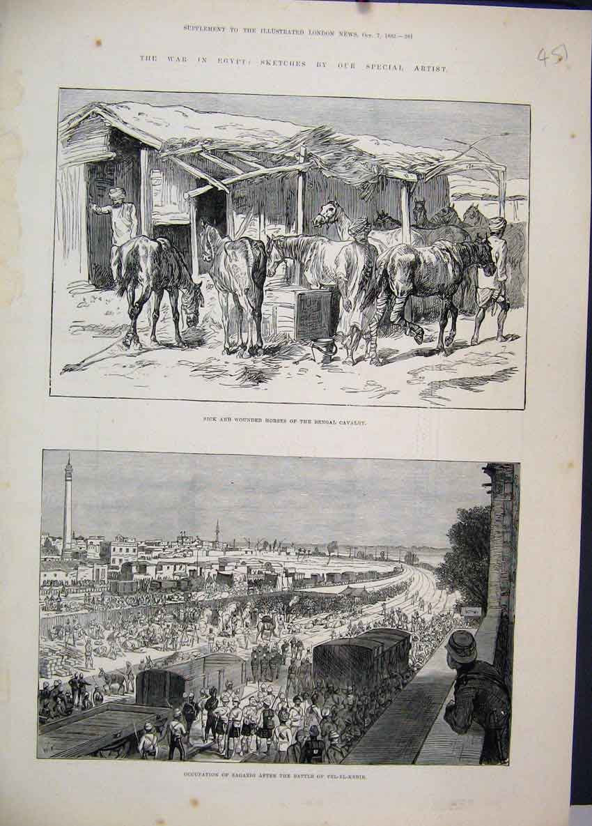Original Old Antique Print 1882 War Egypt Wounded Horses Bengal Cavalry Zagazig