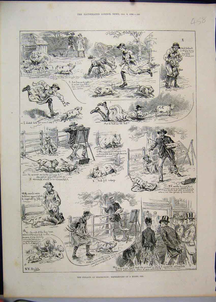 Original Old Antique Print 1886 Pigs Chasing Feeding Country Comedy Sketches