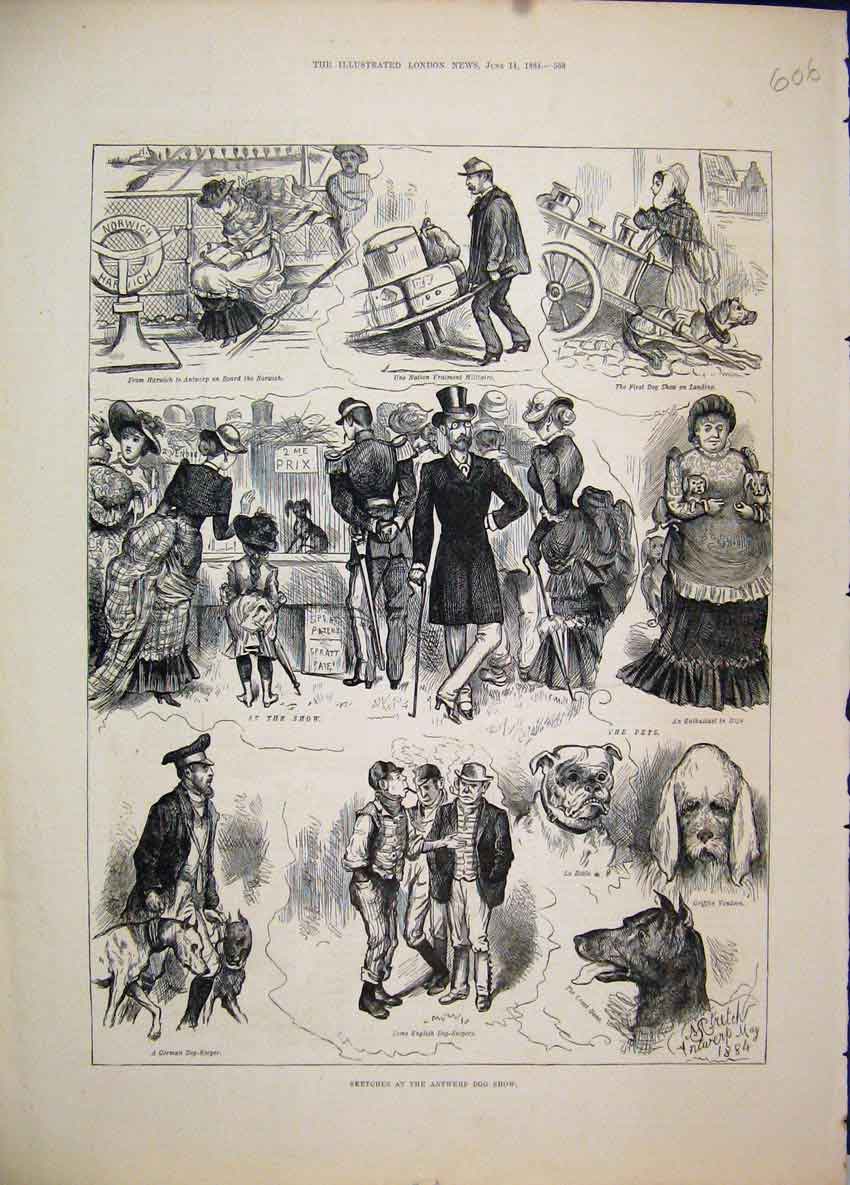 Original Old Antique Print 1884 Antwerp Dog Show Norwich Ship German Keeper