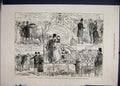 Old Antique Print 1880 Prince Wales Norfolk Norwich Cattle Show Mustard 19th