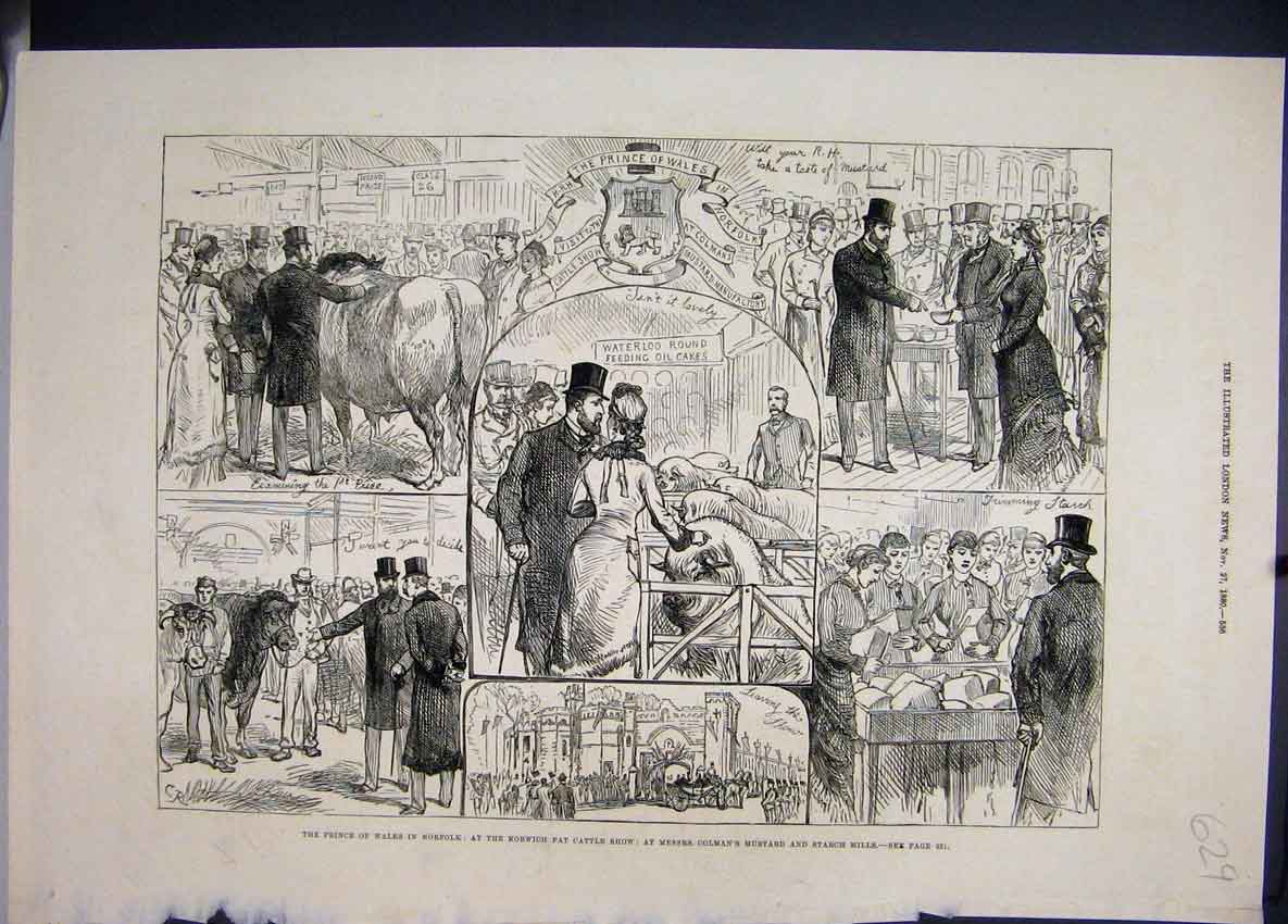 Old Antique Print 1880 Prince Wales Norfolk Norwich Cattle Show Mustard 19th