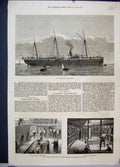 Old Antique Print H.M Transport Service 1876 Horses Assistance Troop Ship 19th