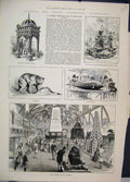 Original Old Antique Print Queensland Exhibition Dingo Trophy Pearl Shells 1886