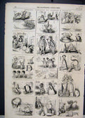 Original Old Antique Print Rebuses Charles Bennet Comedy Sketches 1857 Letters