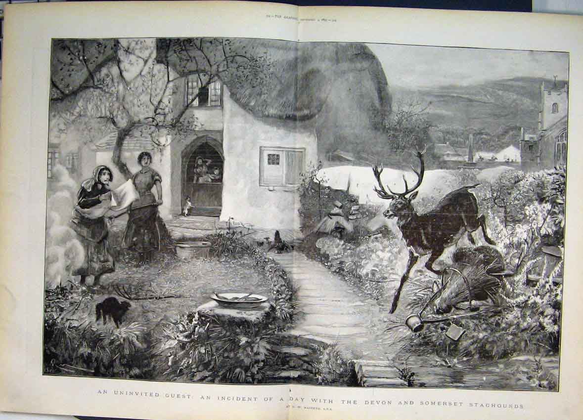 Original Old Antique Print 1897 Devon Somerset Staghound Garden Home Art 19th