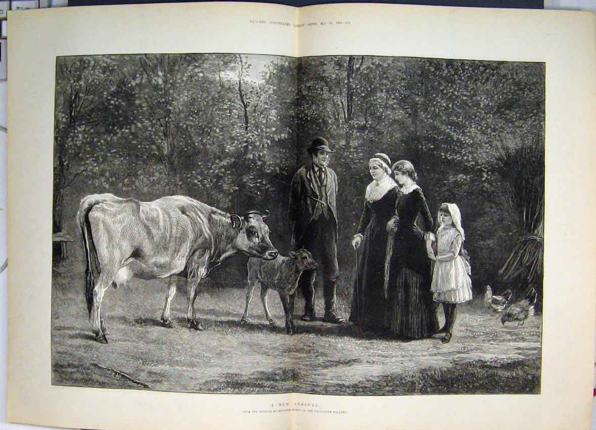 Original Old Antique Print 1883 Country Scene Family Cow Chickens Fine Art