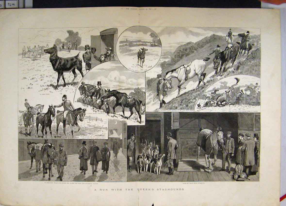 Original Old Antique Print 1890 Queens Staghounds Horses Dogs Train Aylesbury