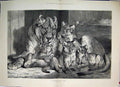 Original Old Antique Print 1881 Lioness And Her Cubs Resting Drawn By Carter