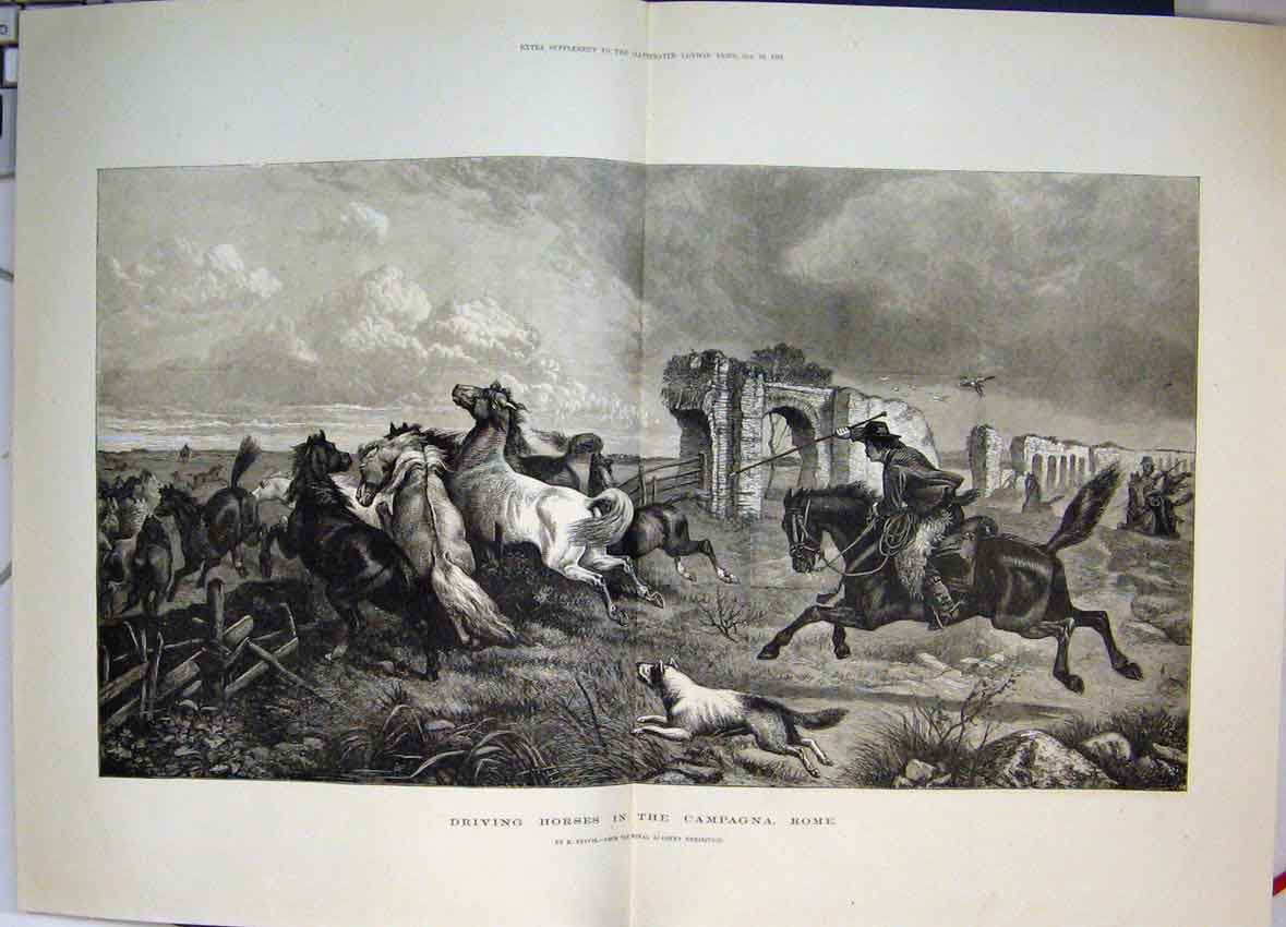 Original Old Antique Print 1881 Driving Horses Campagna Rome Dog Cowboy 19th