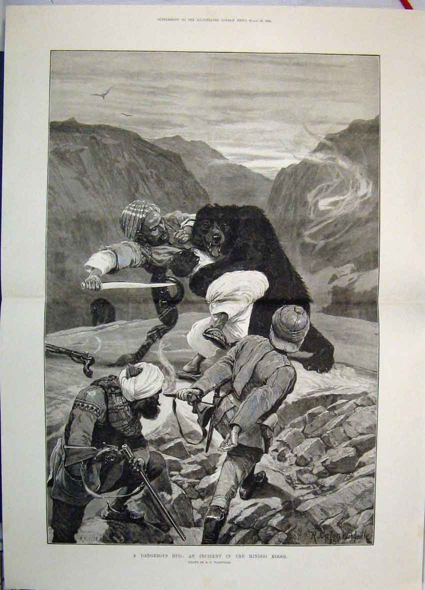 Original Old Antique Print Dangerous Hug Incident Bear Hindoo Koosh 1885 19th