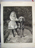 Original Old Antique Print 1875 Girl Hing Big Dog He Won'T Hurt You Victorian