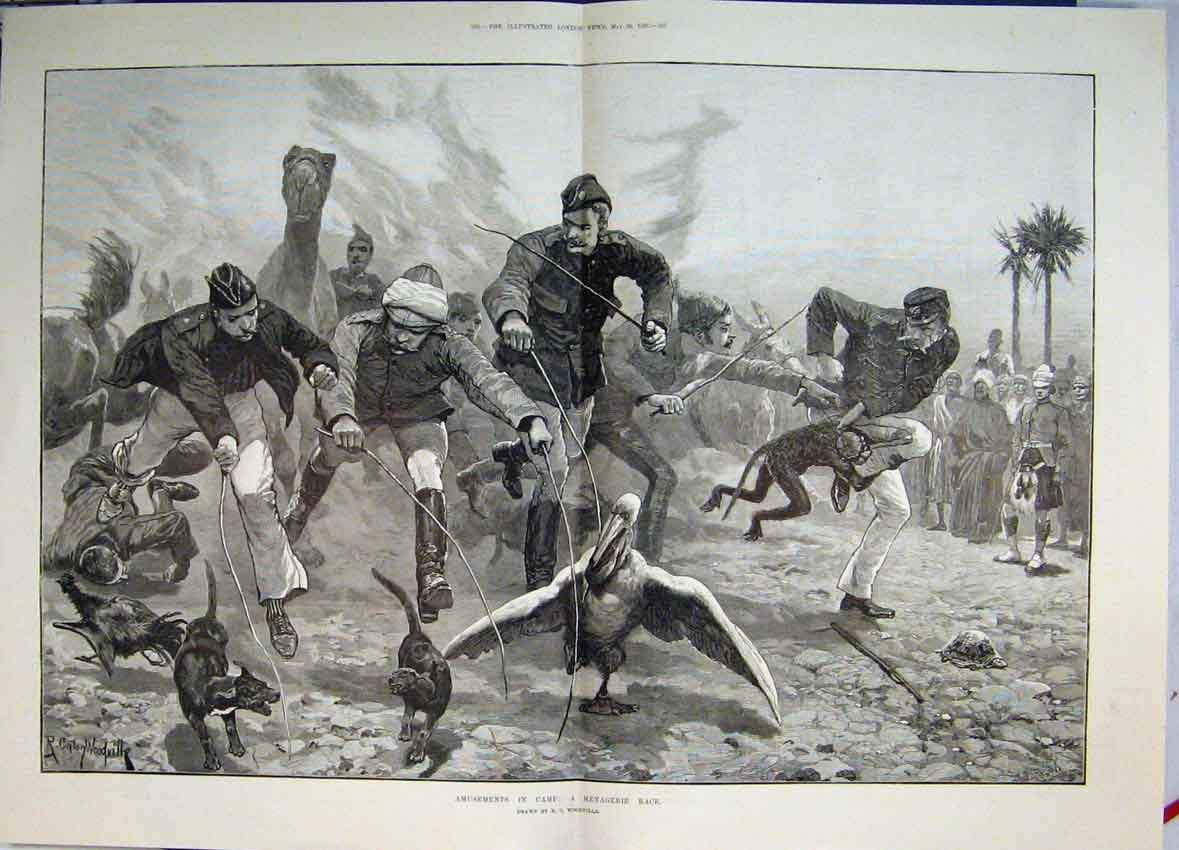 Original Old Antique Print 1885 Amusements In Camp A Menagerie Race Animals 19th
