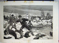 Original Old Antique Print 1887 Seal Hunting Artic Regions Clubbing Pups 19th