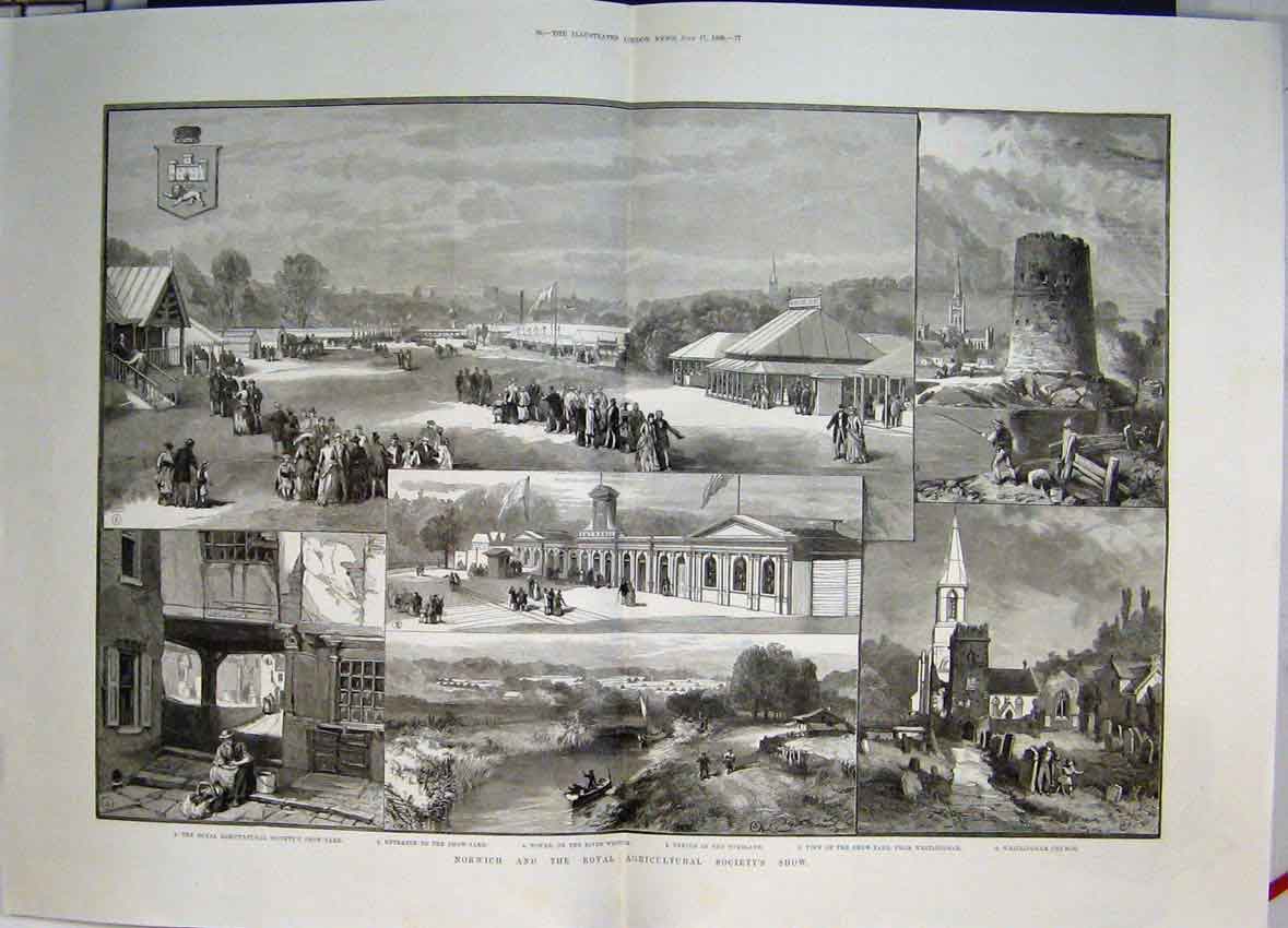 Original Old Antique Print 1886 Views Norwich Royal Agricultural Society Show