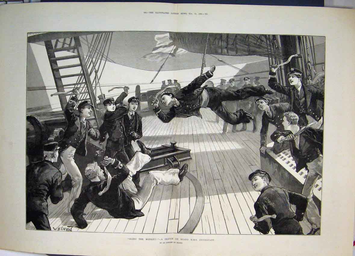 Original Old Antique Print Sling The Monkey On Board Hms Inconstant 1882 19th