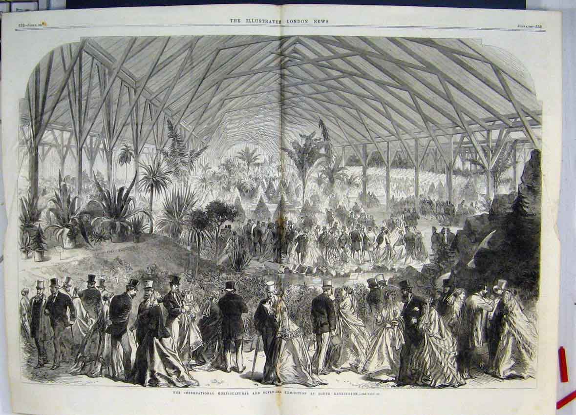 Original Old Antique Print Horticultural Botantical Exhibition London 1866 19th