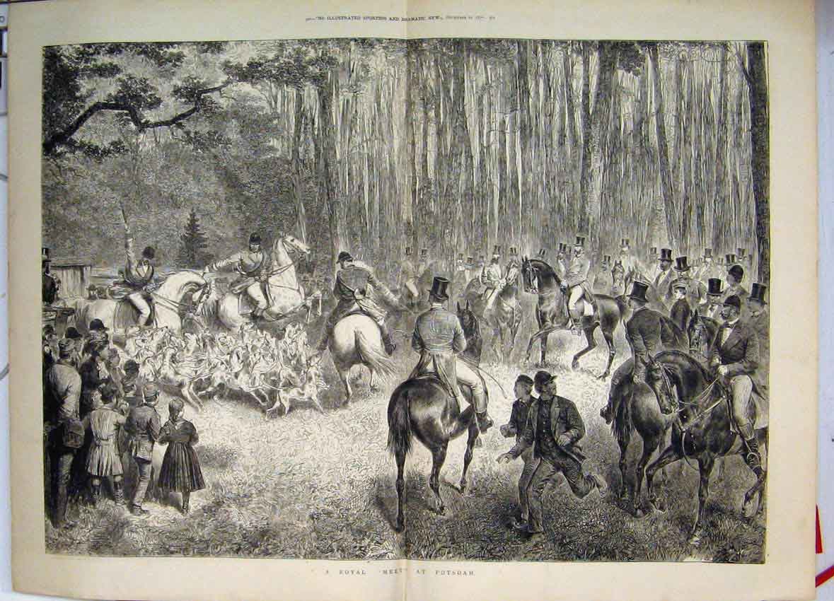 Original Old Antique Print A Royal Meet At Potsdam Hounds Horses Riders Children