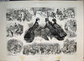 Original Old Antique Print Skating In Month March Frozen River Bed 1886 19th