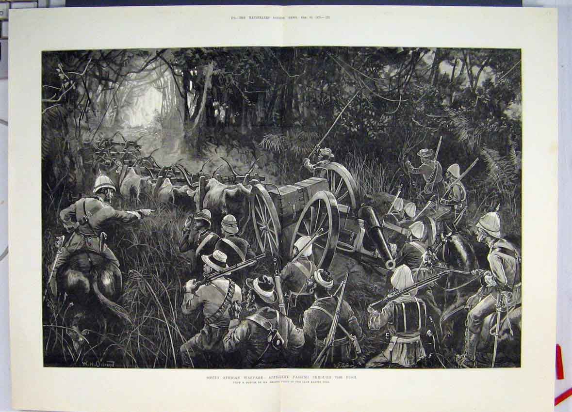 Old Antique Print South African Warfare Artillery Pass Bush 1879 Sketch 19th