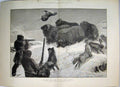 Original Old Antique Print 1881 Shooting Musk Oxen Arctic Regions Dogs Snow