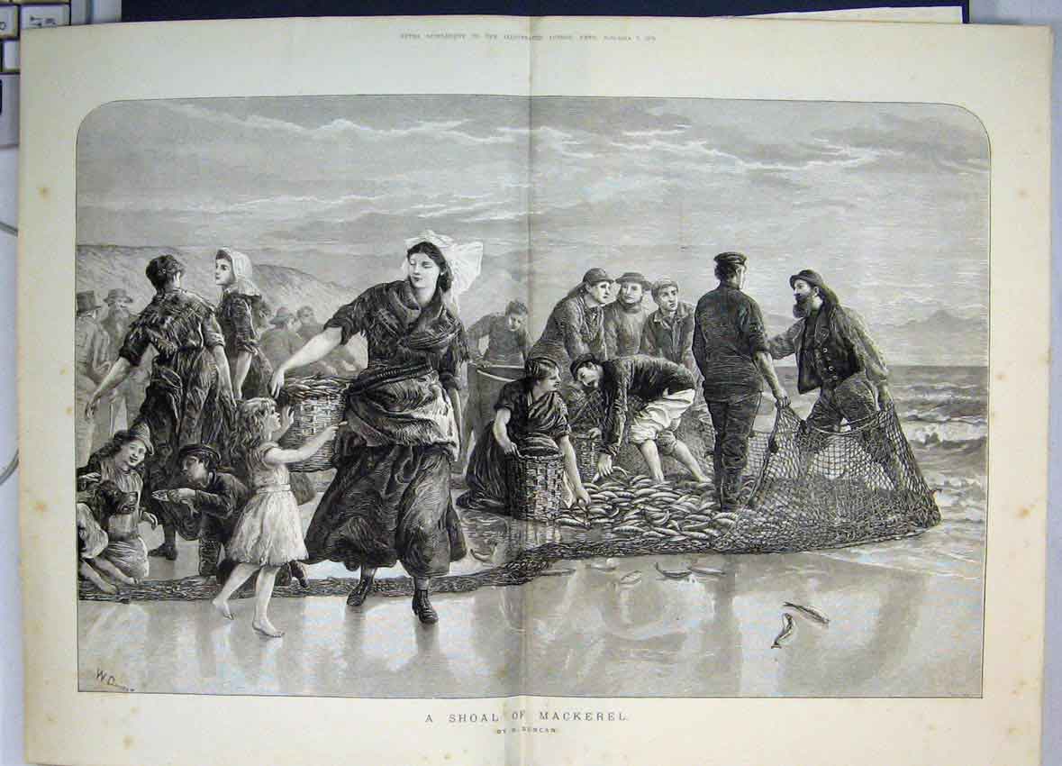 Old Antique Print 1873 Shoal Mackerel Gathering Fishing Net Families Sea 19th