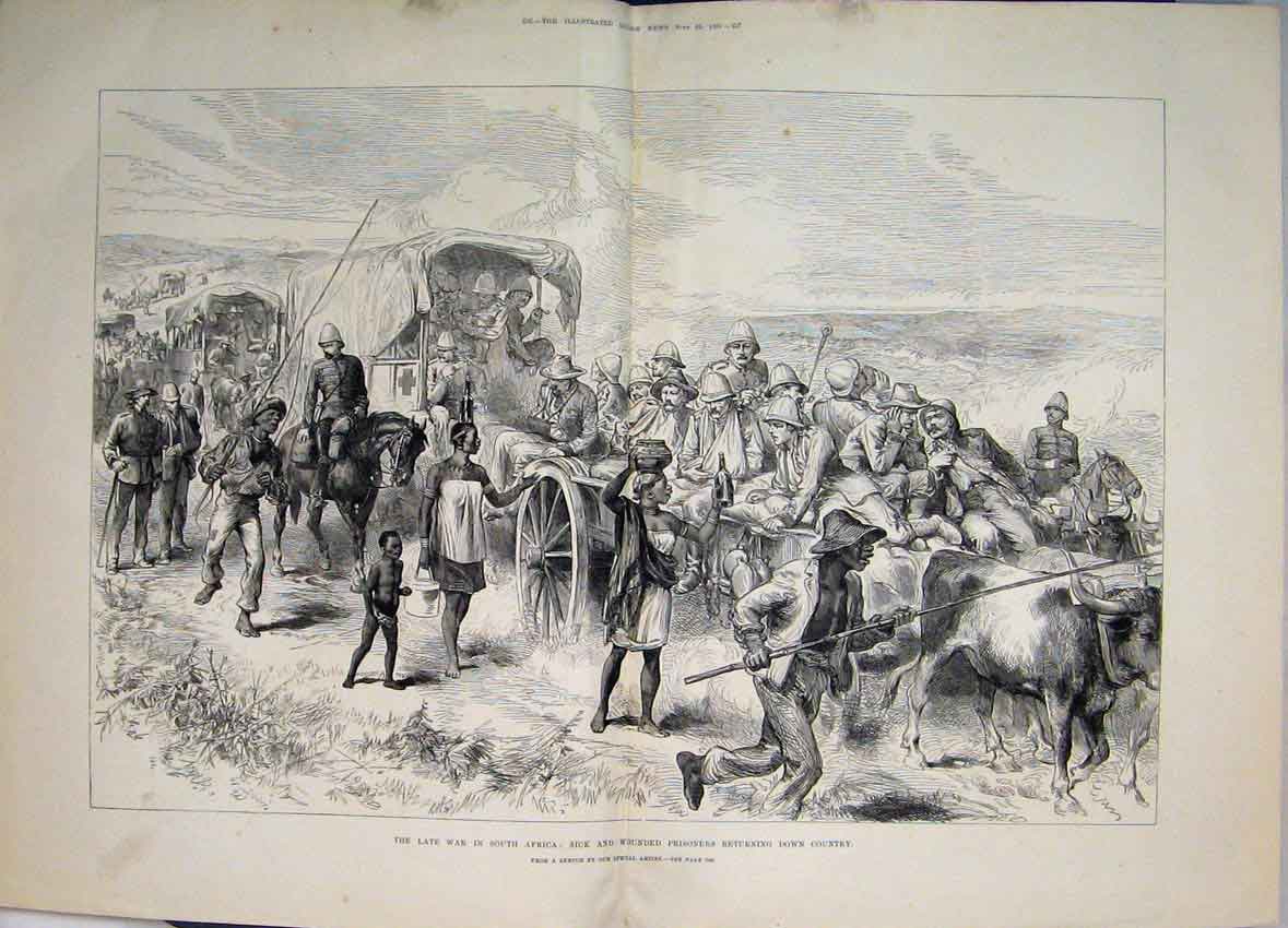 Original Old Antique Print 1881 Late War South Africa Sick Wounded Prisoners