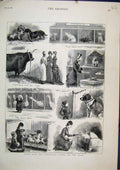 Old Antique Print Scenes Brimingham Cattle Dog Shows 1881 Ducks Pigs Cage 19th