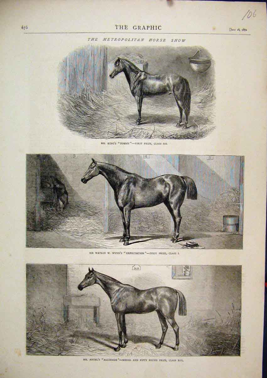 Original Old Antique Print Metropolitan Horse Show 1870 Kings Tommy Alcibiade