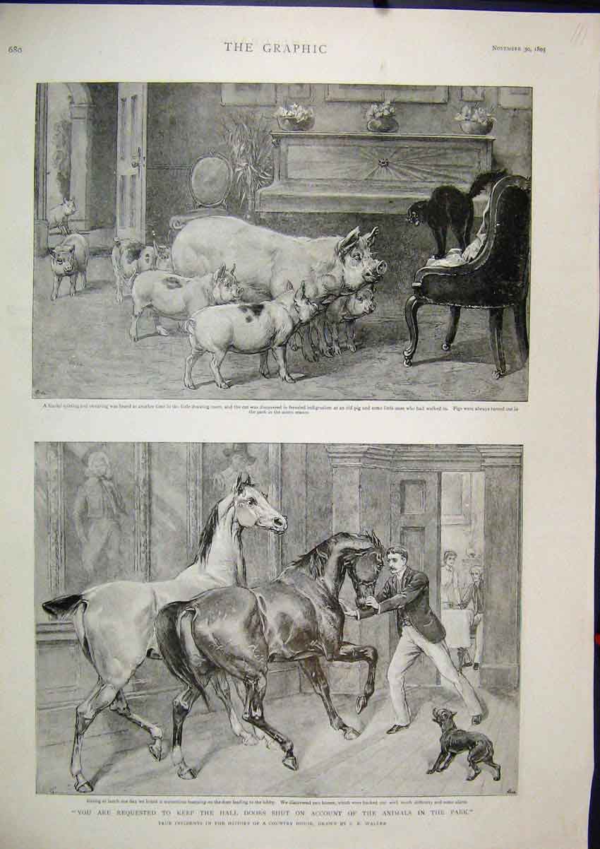 Original Old Antique Print Country House Pigs Cat Chair Horses Man Dog 1895