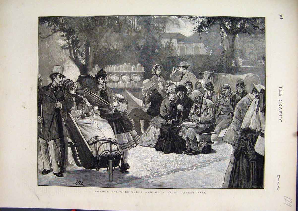 Old Antique Print London Curds Whey St. James Park Families Day Out 1873 19th