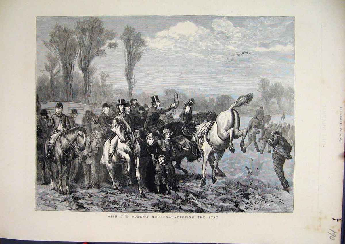 Old Antique Print 1871 Queens Hounds Uncarting Stag Horses Children Trees 19th