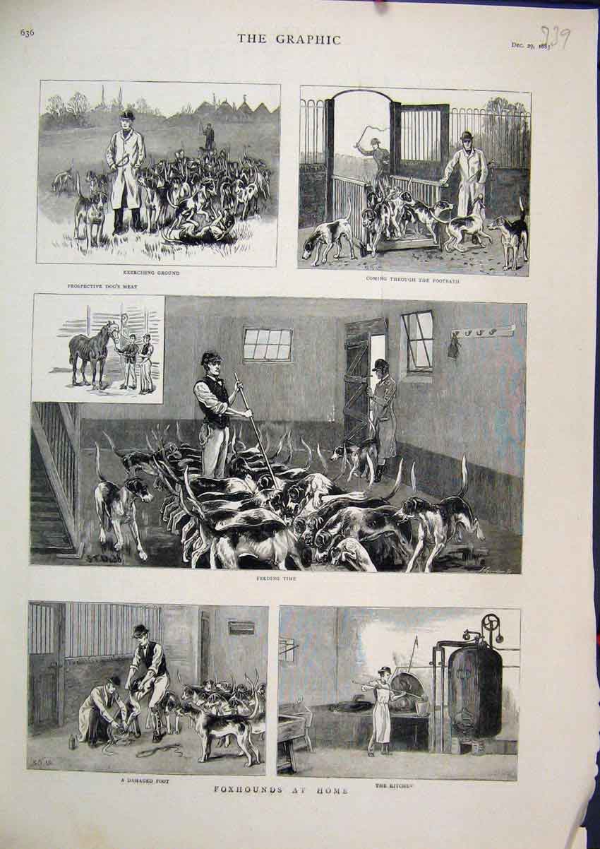 Original Old Antique Print 1883 Foxhounds Feeding Exercising Kitchen Footbath