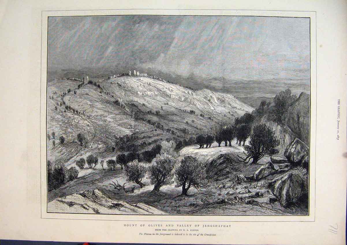 Old Antique Print Mount Olives Valley Jehoshaphat 1873 Country Scene Tree 19th