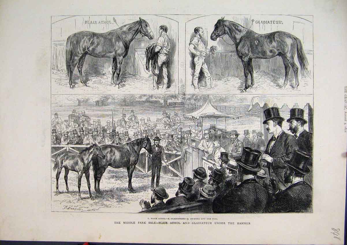 Original Old Antique Print 1872 Middle Park Sale Blair Athol Gladiateur Horses