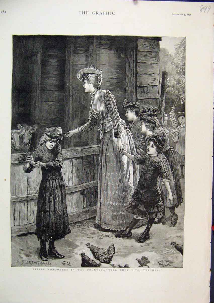 Old Antique Print 1891 Little London Girls Country Teacher Chickens Sheep 19th