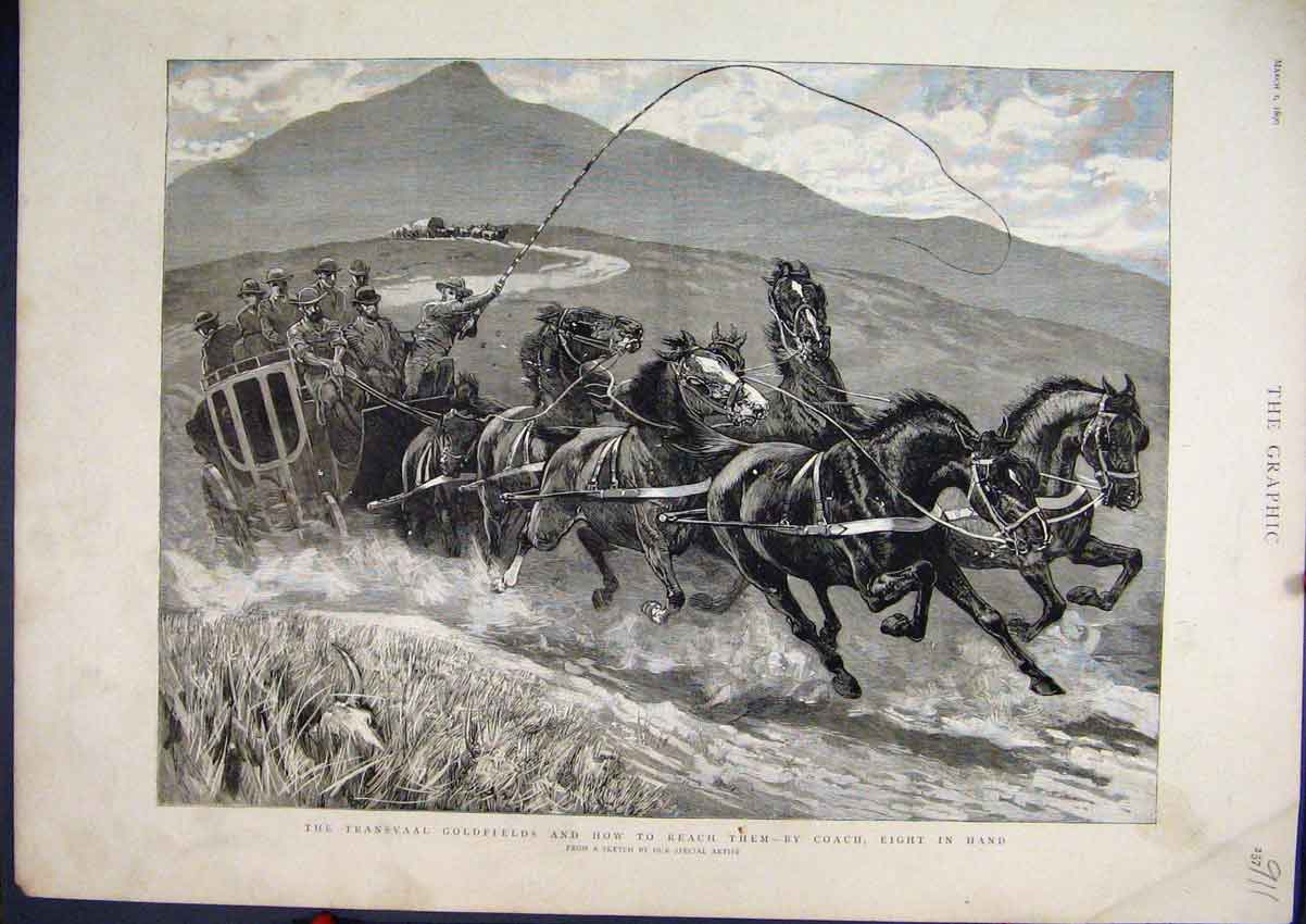 Original Old Antique Print 1890 Transvaal Gfields Coach Eight Horses Sketch 19th