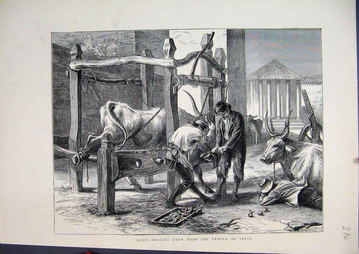 Original Old Antique Print 1872 Rome Shoeing Oxen Temple Vesta 19th