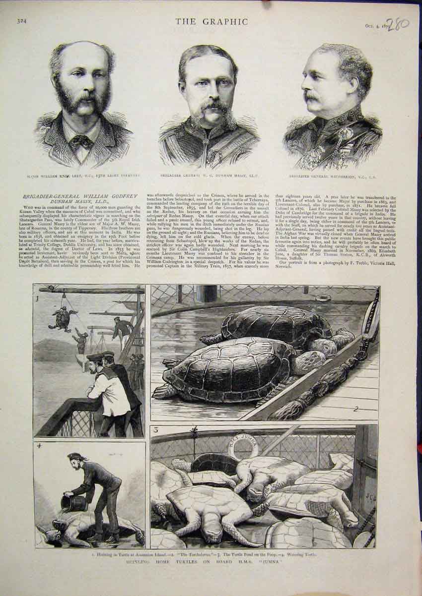Original Old Antique Print 1879 Turtles H.M.S.Jumna Knox Leet Massy Macpherson